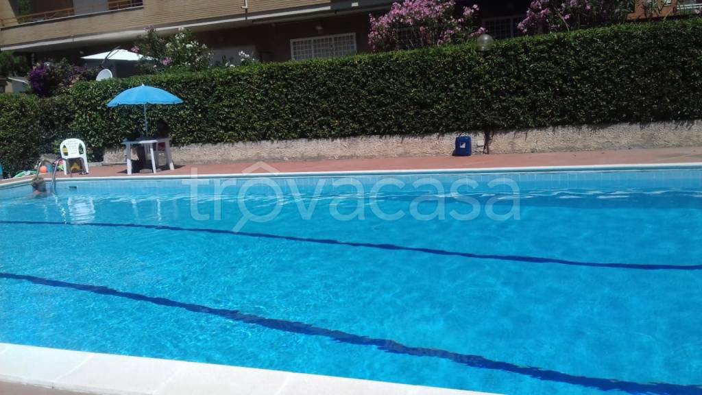 appartamento in vendita a Santa Marinella