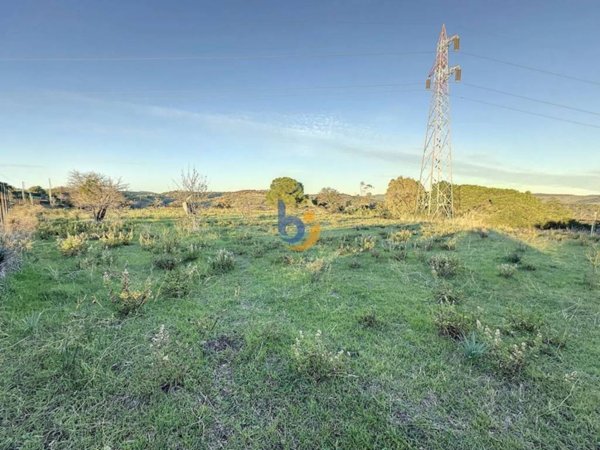 terreno agricolo in vendita a Santa Marinella