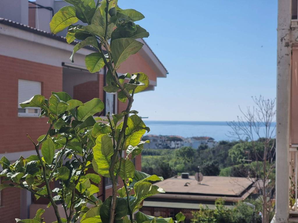 appartamento in vendita a Santa Marinella