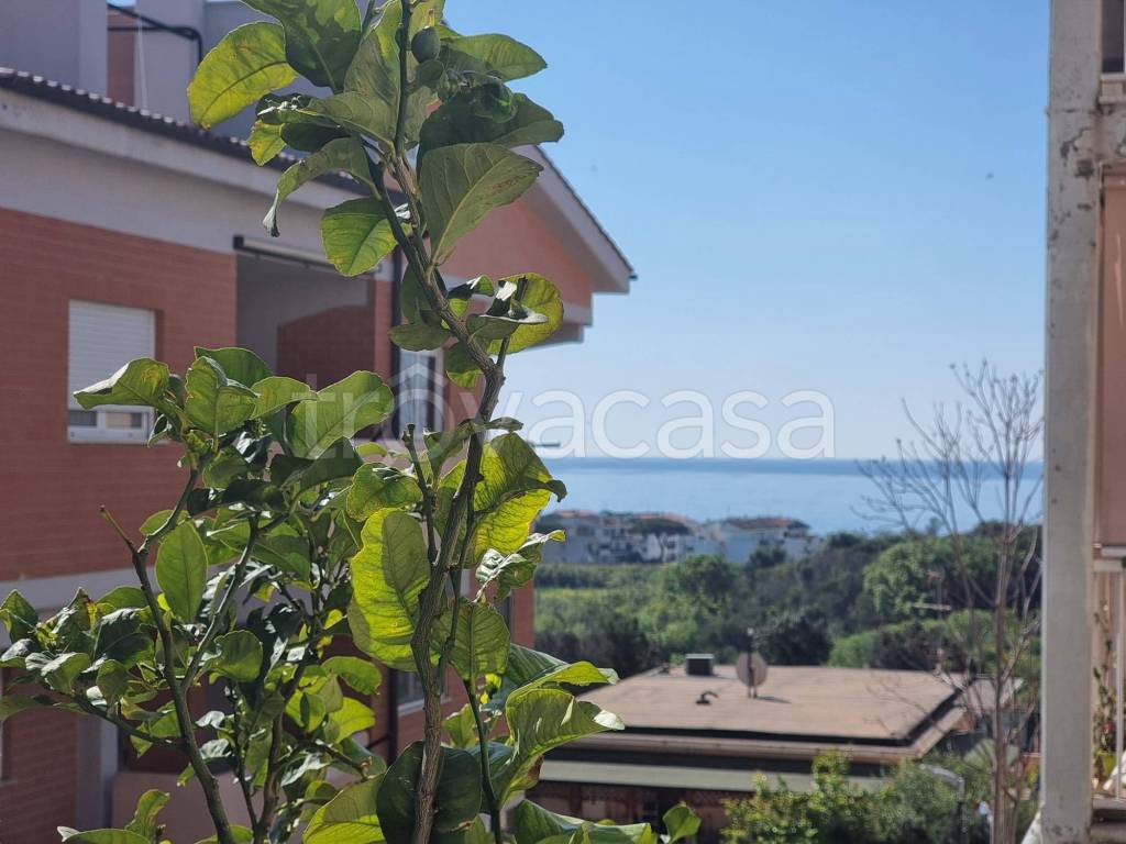appartamento in vendita a Santa Marinella