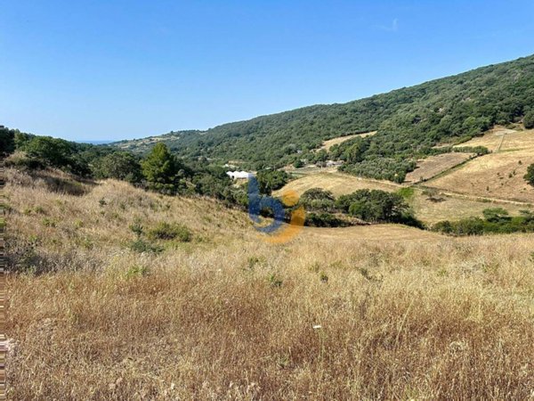 terreno agricolo in vendita a Santa Marinella