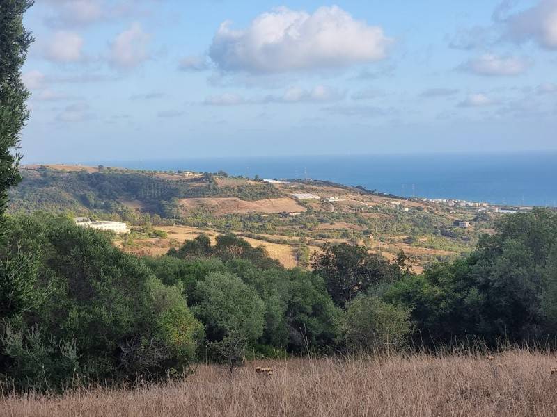 terreno agricolo in vendita a Santa Marinella