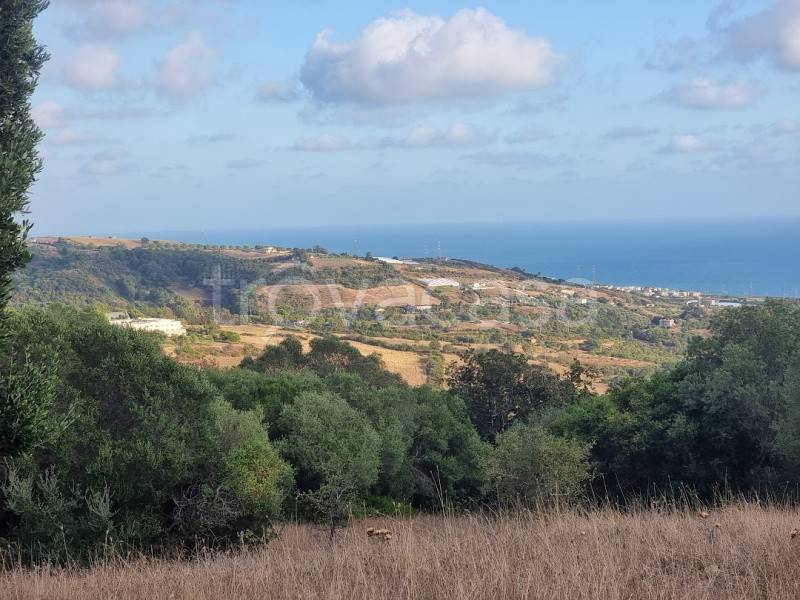 terreno agricolo in vendita a Santa Marinella