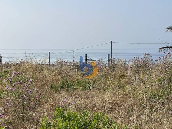 terreno agricolo in vendita a Santa Marinella