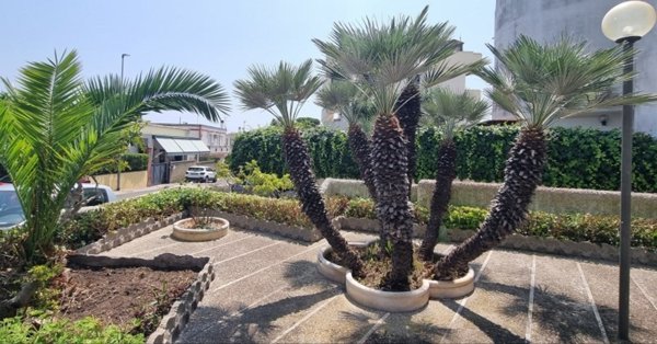 appartamento in vendita a Santa Marinella