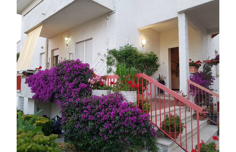 casa indipendente in vendita a Santa Marinella