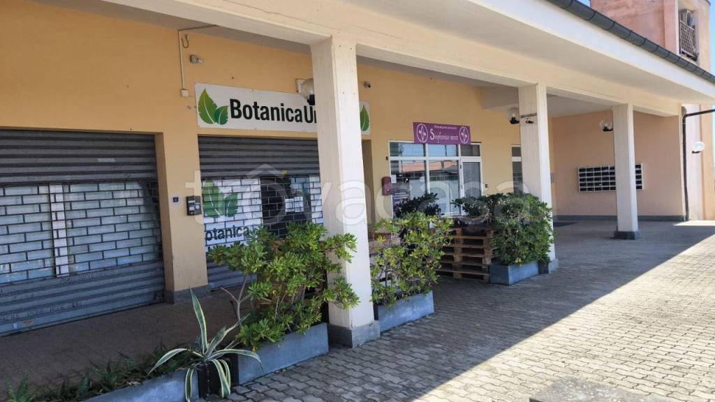 negozio in vendita a Santa Marinella