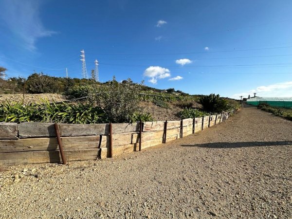 terreno agricolo in vendita a Santa Marinella