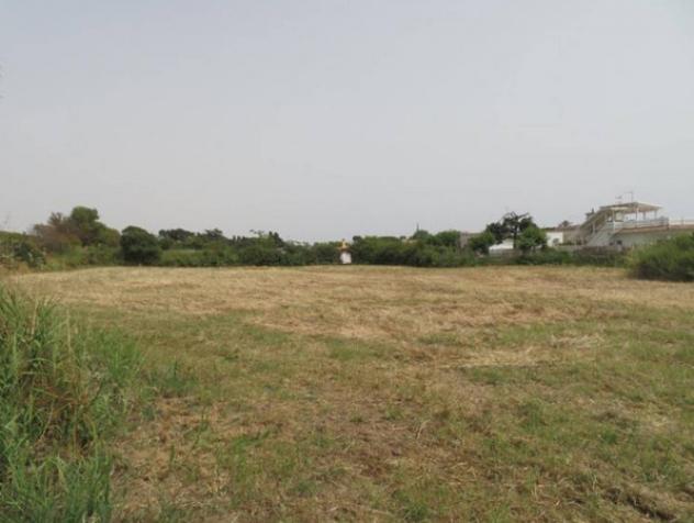 terreno agricolo in vendita a Santa Marinella in zona Santa Severa