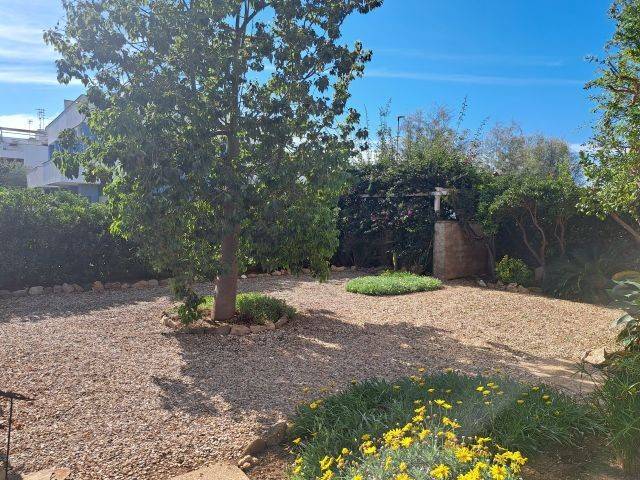 casa indipendente in vendita a Santa Marinella