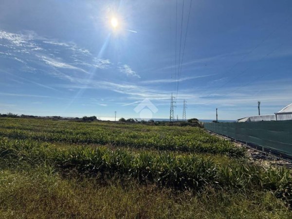 terreno agricolo in vendita a Santa Marinella