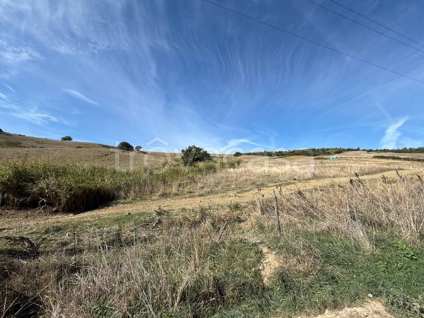 terreno agricolo in vendita a Santa Marinella