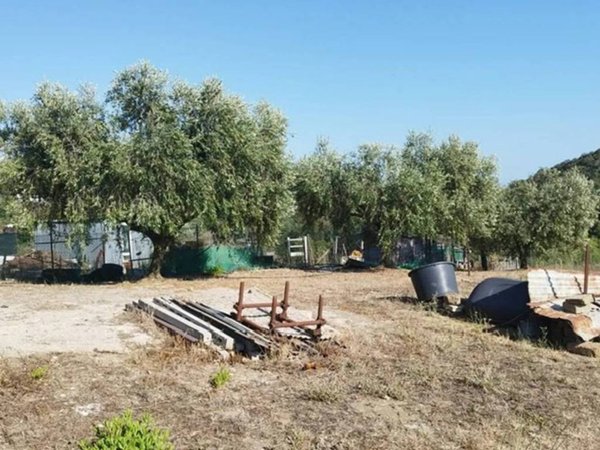 terreno agricolo in vendita a Santa Marinella
