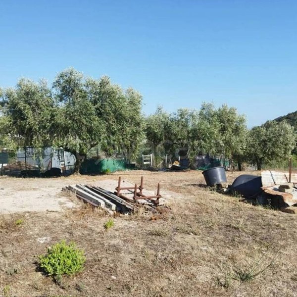 terreno agricolo in vendita a Santa Marinella