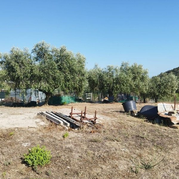 terreno agricolo in vendita a Santa Marinella