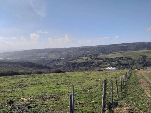 terreno agricolo in vendita a Santa Marinella