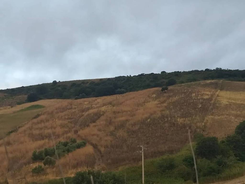 terreno agricolo in vendita a Santa Marinella
