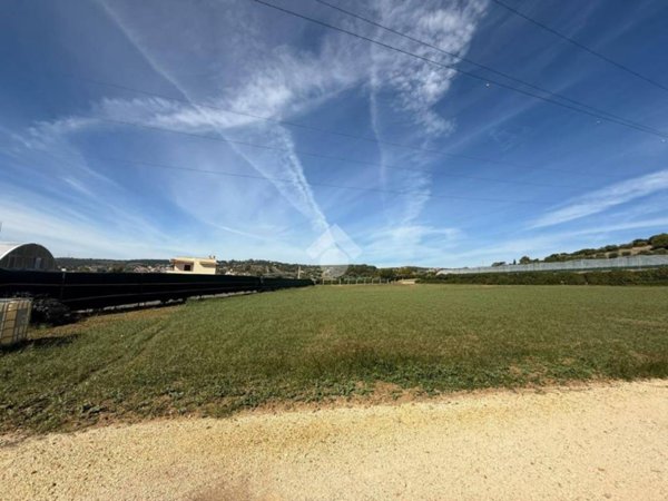 terreno agricolo in vendita a Santa Marinella