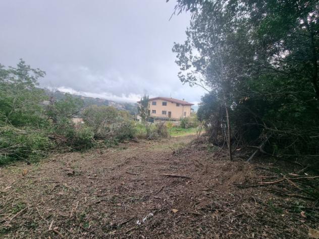 terreno agricolo in vendita a Santa Marinella