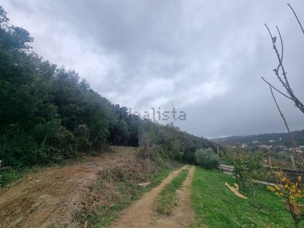 terreno in vendita a Santa Marinella