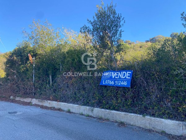 terreno agricolo in vendita a Santa Marinella