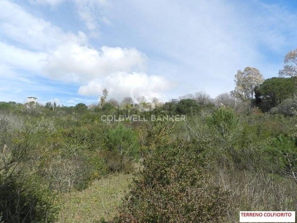 terreno edificabile in vendita a Santa Marinella