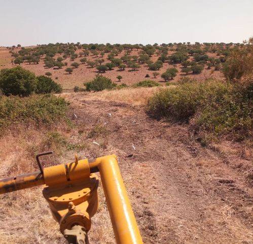 casa indipendente in vendita a Santa Marinella