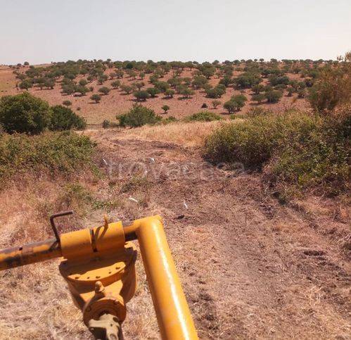casa indipendente in vendita a Santa Marinella