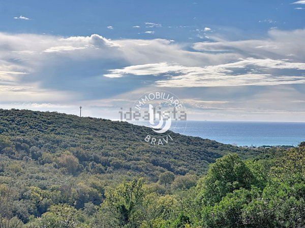 terreno agricolo in vendita a Santa Marinella