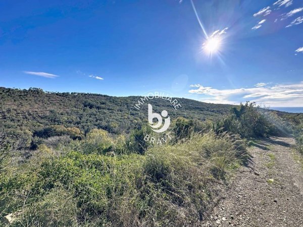 terreno agricolo in vendita a Santa Marinella