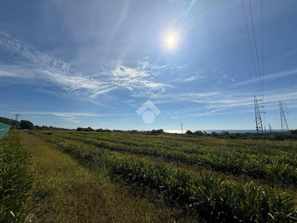 terreno agricolo in vendita a Santa Marinella