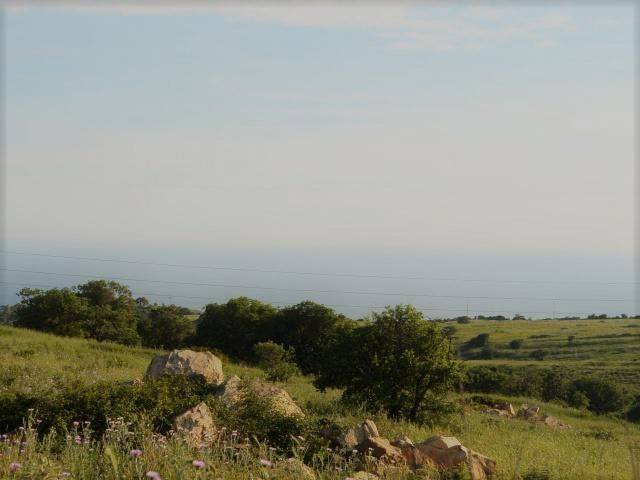 terreno agricolo in vendita a Santa Marinella