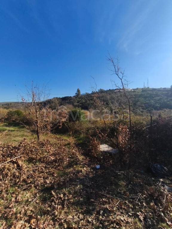 azienda agricola in vendita a Santa Marinella