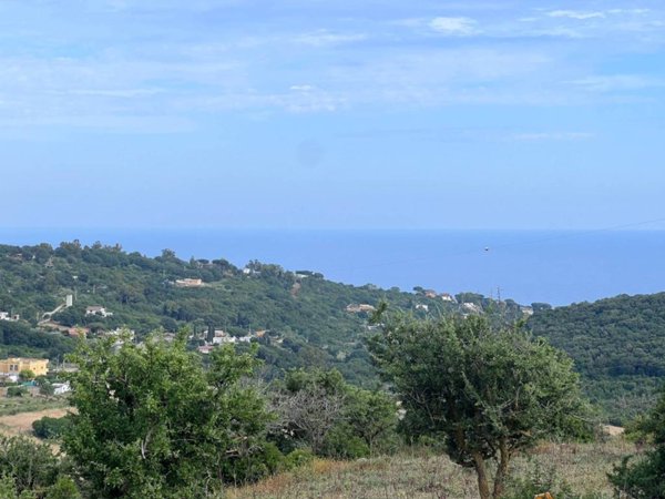 terreno agricolo in vendita a Santa Marinella