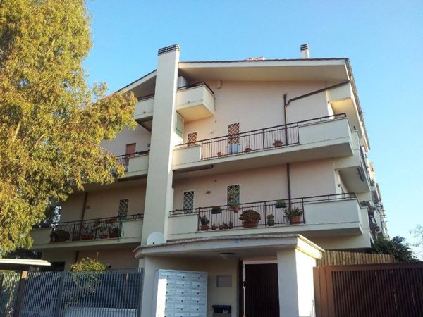 appartamento in vendita a Santa Marinella