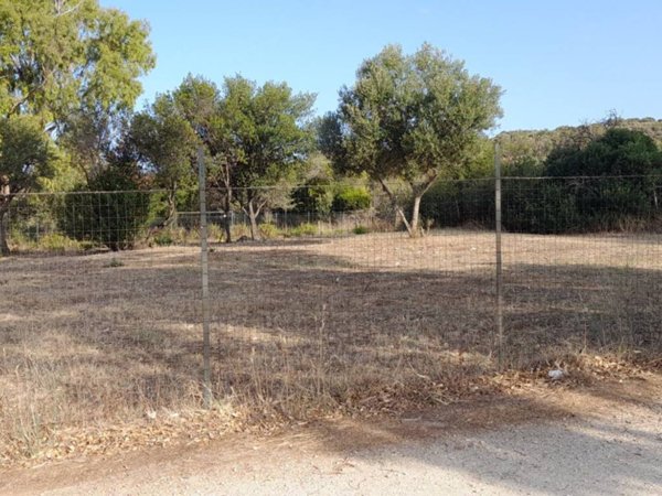 terreno agricolo in vendita a Santa Marinella