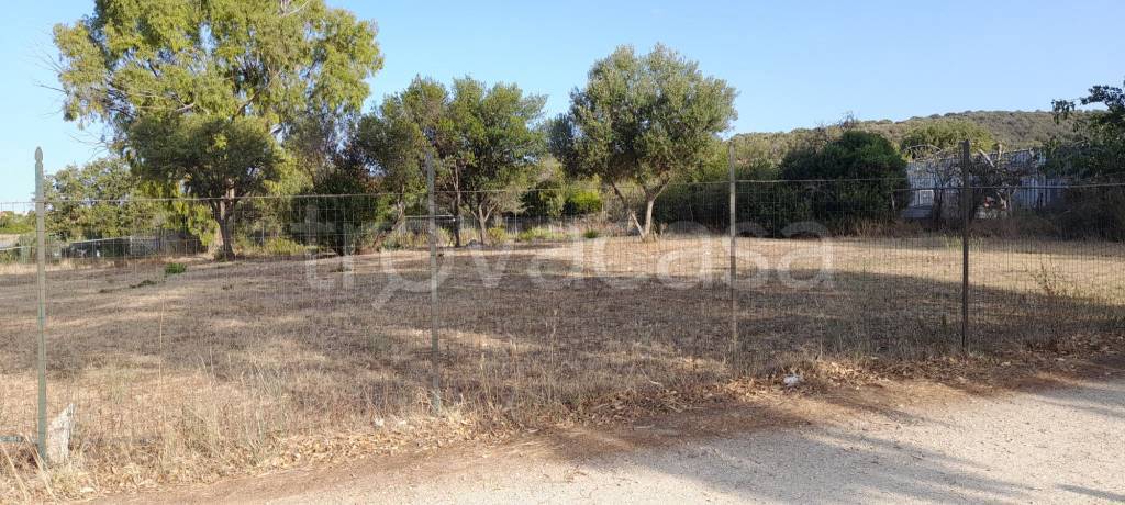 terreno agricolo in vendita a Santa Marinella
