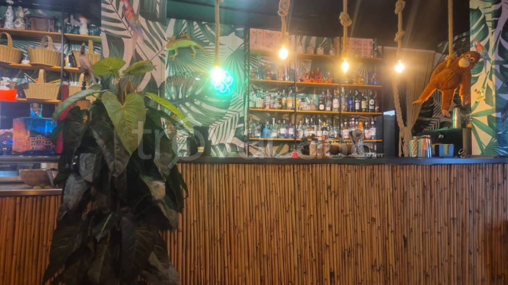 negozio in vendita a Santa Marinella in zona Santa Severa