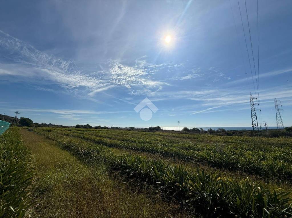 terreno agricolo in vendita a Santa Marinella