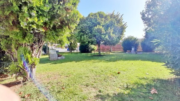 appartamento in vendita a Santa Marinella