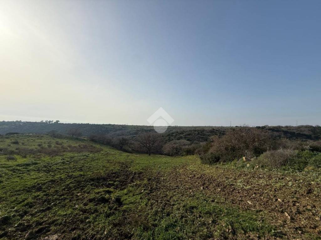 terreno in vendita a Santa Marinella