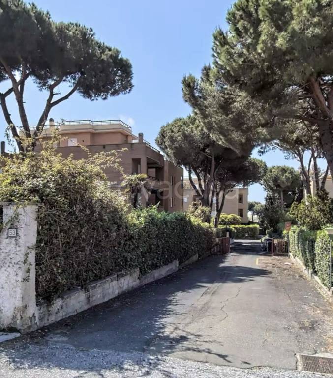 locale commerciale in vendita a Santa Marinella