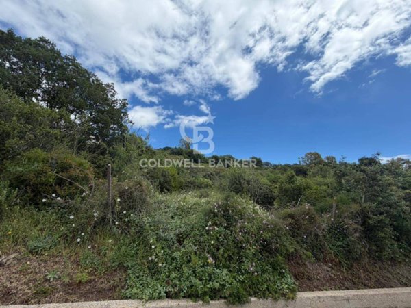 terreno agricolo in vendita a Santa Marinella