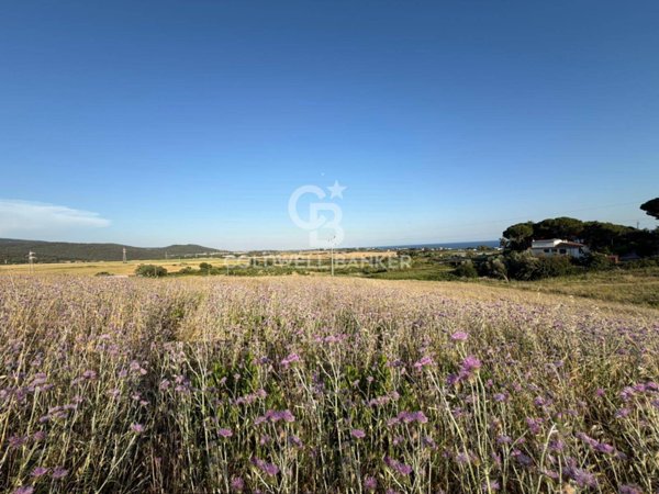 terreno agricolo in vendita a Santa Marinella