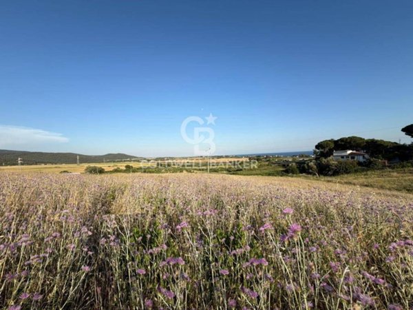 terreno agricolo in vendita a Santa Marinella