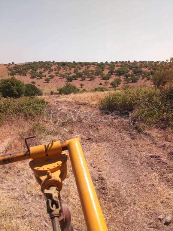 terreno agricolo in vendita a Santa Marinella
