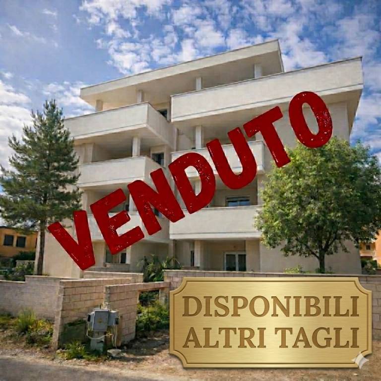 appartamento in vendita a Santa Marinella