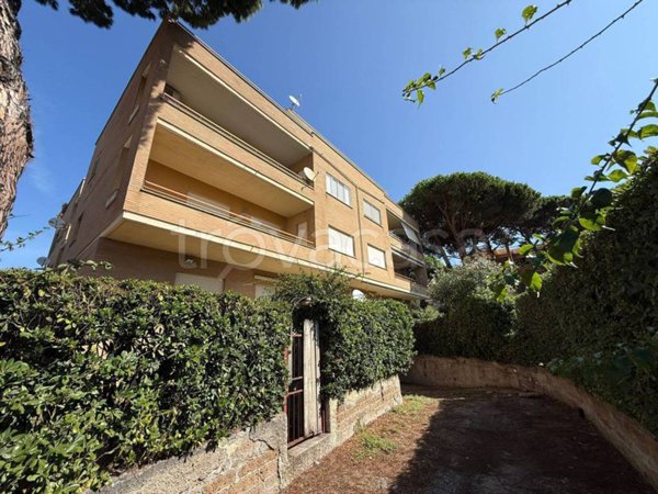 box auto in vendita a Santa Marinella