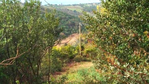 terreno in vendita a Santa Marinella