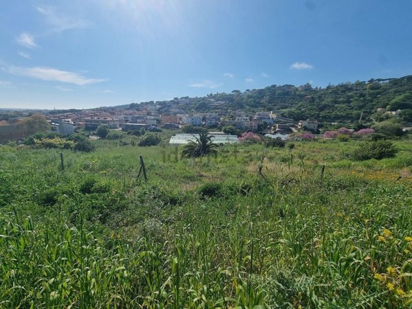 terreno in vendita a Santa Marinella